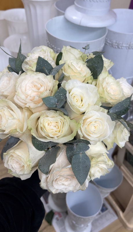 Cream Roses