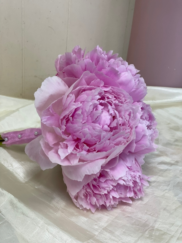 PP7   peonies (seasonal)