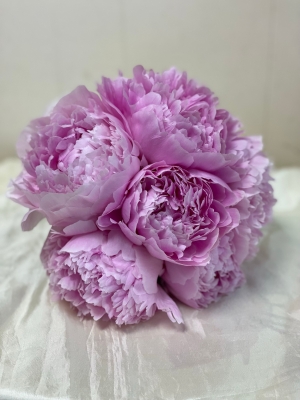 PP7   peonies (seasonal)