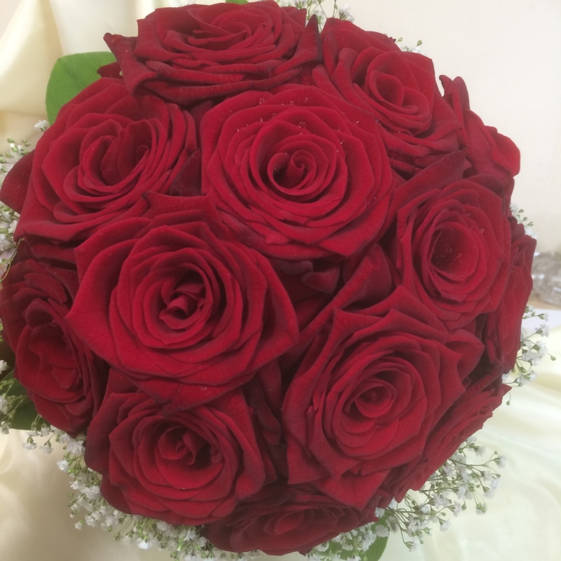 Red Roses