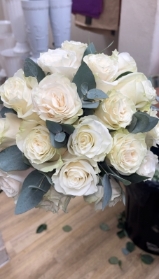 Cream Roses